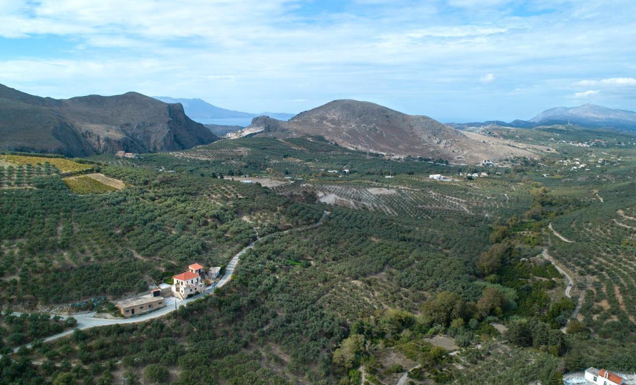 Olive Villas Kría Vrísi Eksteriør billede